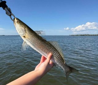 Caught Lots of Fish and Had a Fantastic Trip!