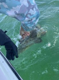 Great time on yhe water with Captain Steve