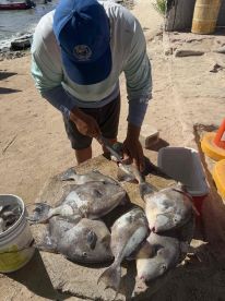 Clear Instructions & Great Caches