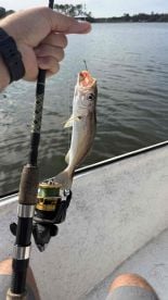 Great time with Patrick