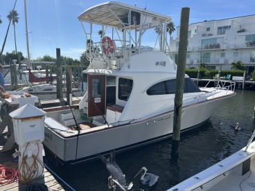 Experienced Captain, very nice big boat