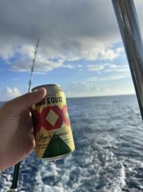 Great experience all around