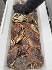 We had a great time!