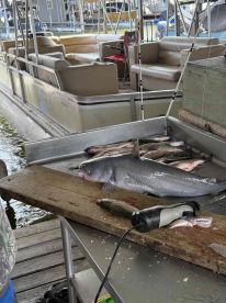 Stellar Service and Fun! 