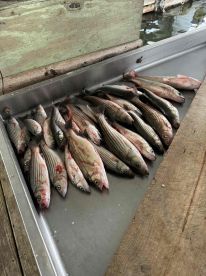 Stellar Service and Fun! 