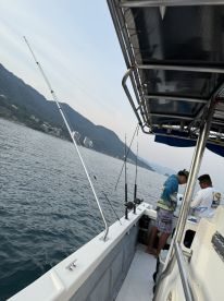 Great experience and incredible value