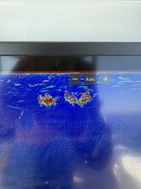 Such A Fun Experience