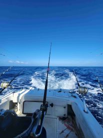 Shawn and Joe did great 