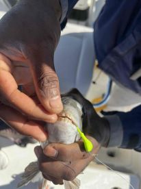 Great time on the flats