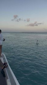 Great fishing Captian and Crew 