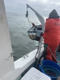 Crabbing & Rockfishing 