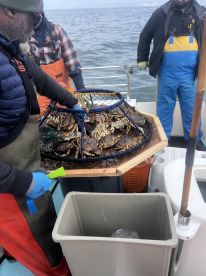 Crabbing & Rockfishing 