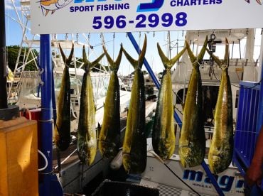 Great crew and fishing!!!