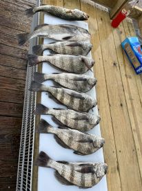 October fishing trip