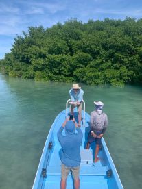Fishy Business  Caye Caulker