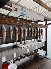 Fishing trip Dec. 3rd, 2025