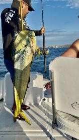 Excellent Crew and Experience All Around