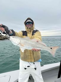 Cold weather, Hot bite