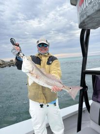 Cold weather, Hot bite