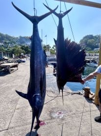 Perfect trip with Lori 3!