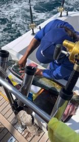 great charter experience 