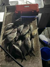 BOOK HERE FOR A GREAT TIME!!!