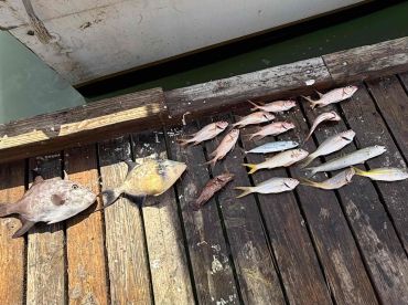 Great family day out 