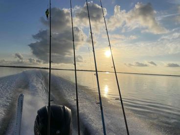 Awesome morning catching fish!