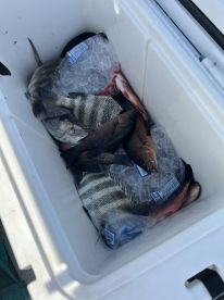 Awesome Captain Amazing Fishing Experience 