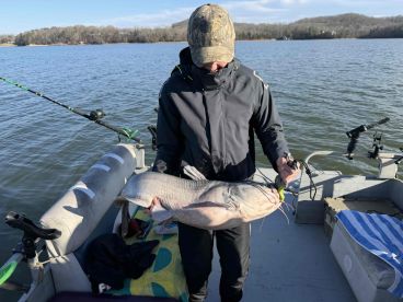 December catfishing