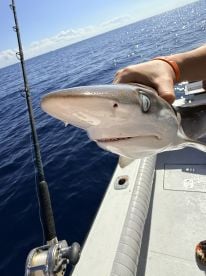 Awesome day with Captain Tom!