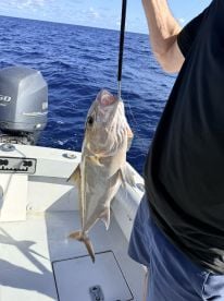 Awesome day with Captain Tom!