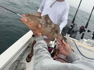 Could call it catching instead of fishing!