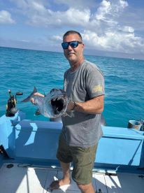 Great barracuda bite