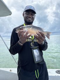 ⭐️⭐️⭐️⭐️⭐️ Island Reef Fishing with Freedom Tours – Incredible Experience