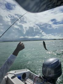 ⭐️⭐️⭐️⭐️⭐️ Island Reef Fishing with Freedom Tours – Incredible Experience