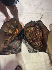 Great activity with the family