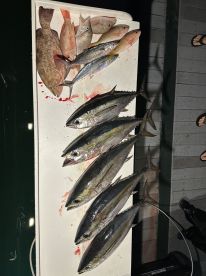 Excellent trip with Captain Tony!