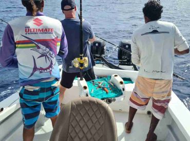 beautiful corner of Mauritius