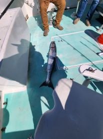 December fishing trip