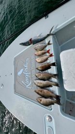 Not just going fishing but catching fish!