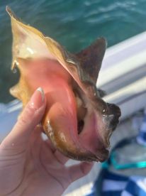 reef fishing and barbecue day