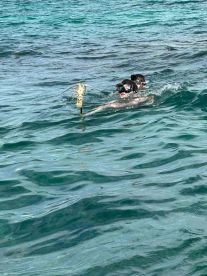 reef fishing and barbecue day