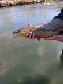 Fantastic Guide and Trip!