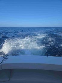 Fishing with Francisco Norberto