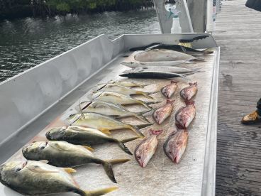 Catching lots of FISH!