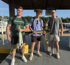 excellent experience! 