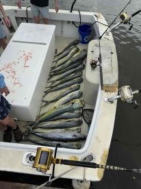  Lots of Mahi