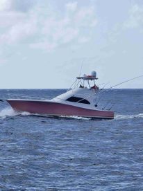 Best part of my vacation 