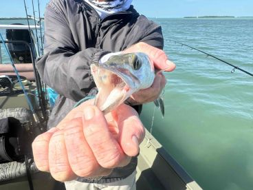 Beautiful Day on the Water in Mid-December! 